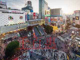 海南個人所得稅優(yōu)惠政策 海南個人所得稅優(yōu)惠政策