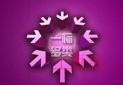 一標多類的意義及其優(yōu)缺點